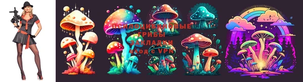 ешки Алзамай
