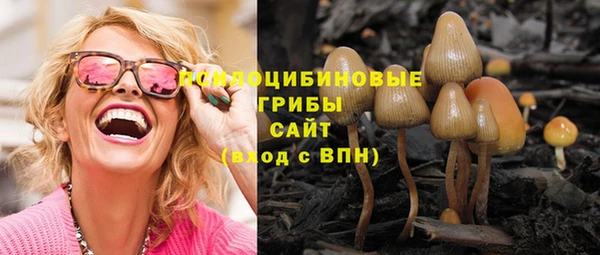 ешки Алзамай