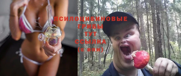 МДПВ Алексеевка
